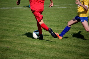 milan-世界马拉松大满贯赛事上海站开跑，世界马拉松大满贯赛事上海站开跑时间