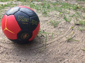 米兰体育网址-全国老年人健身球操赛展银发激情，老年健身球类